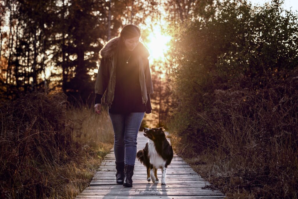 Hundeschule in Kassel: Einzeltraining, Dogwalking und mehr