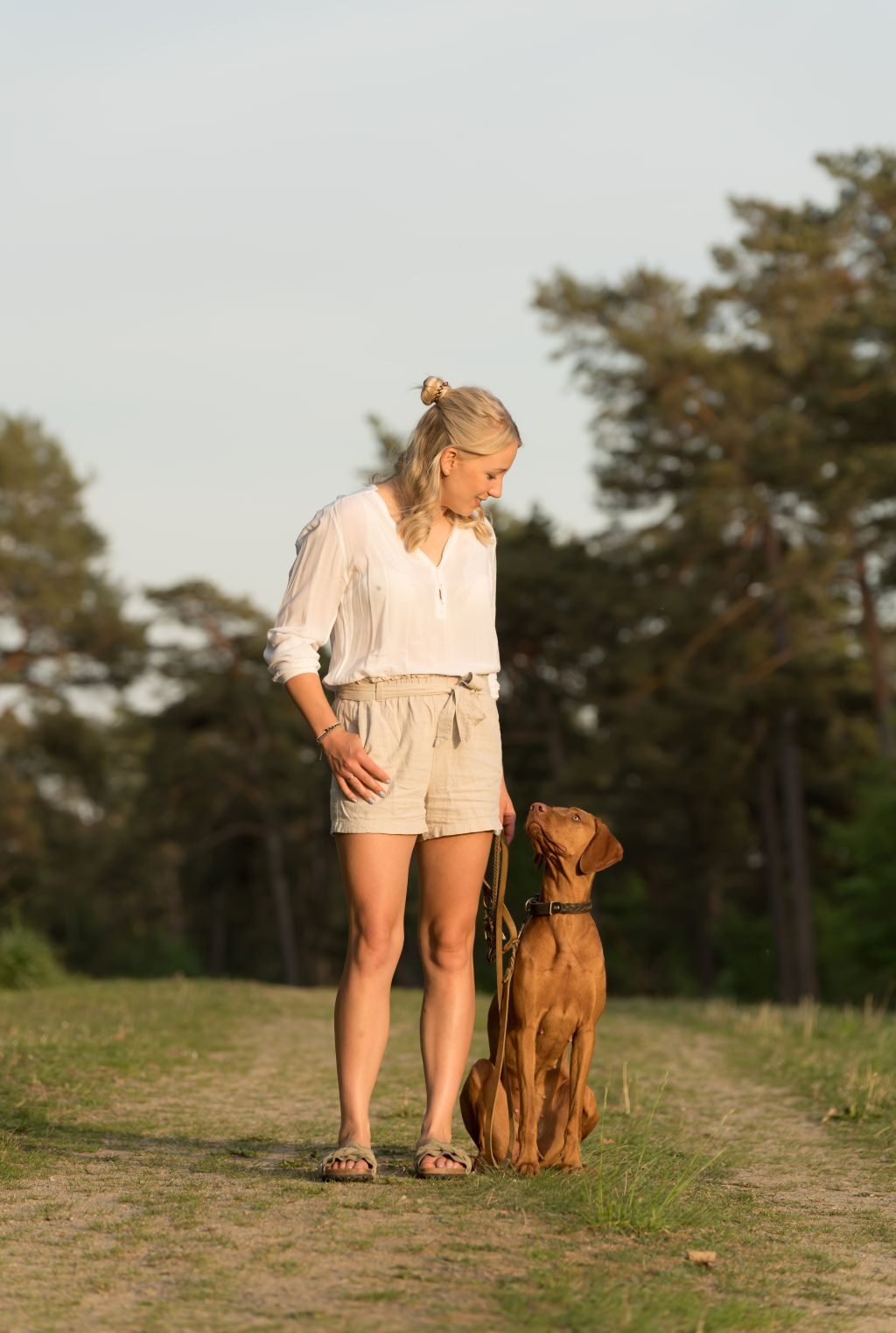 Hundetraining Kassel