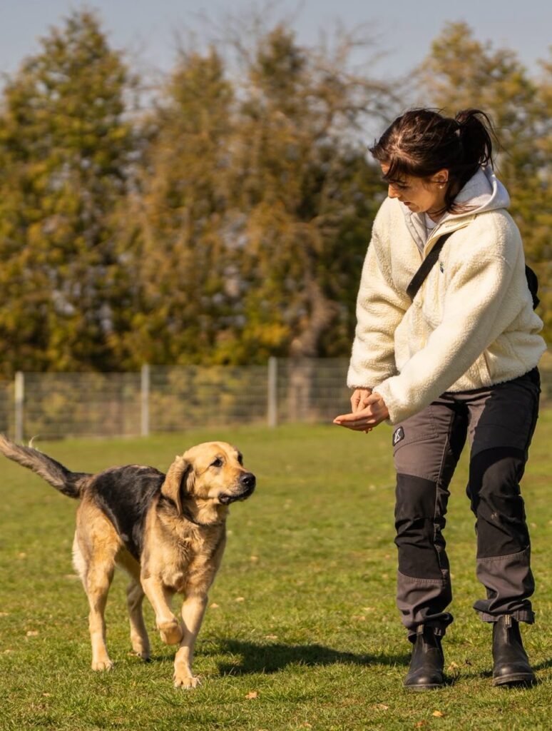 Hundetrainerin mit Hund