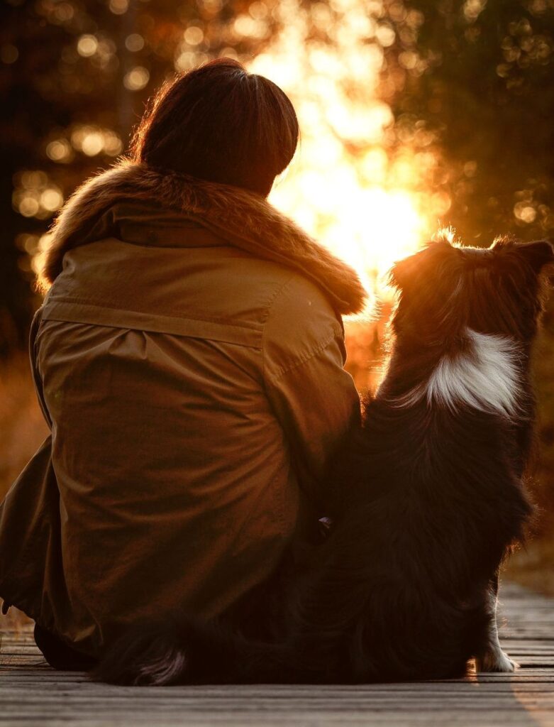 Mensch und Hund nebeneinander