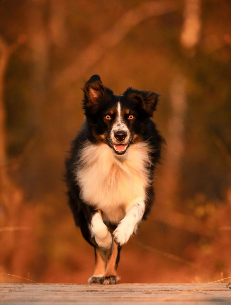 Milow rennt